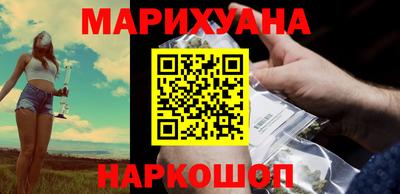 СК Кингисепп