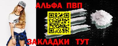 СК Кингисепп