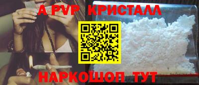 СК Кингисепп