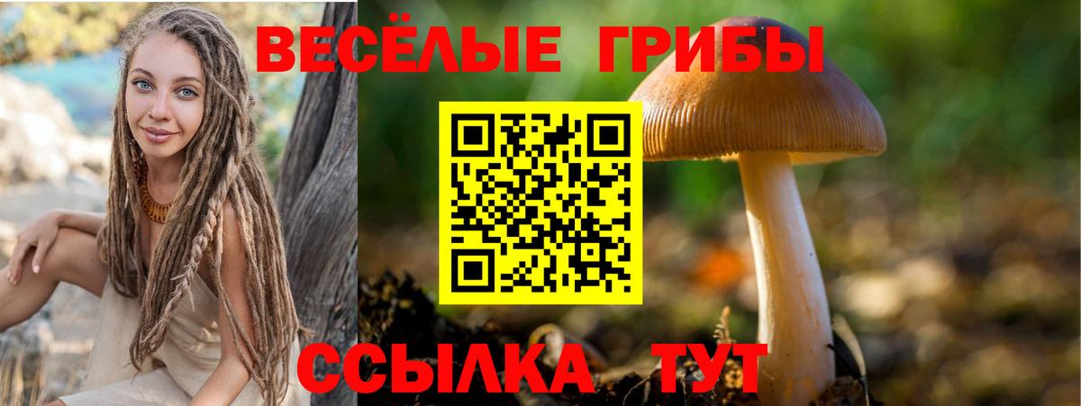 Рузаевка  Псилоцибиновые грибы Magic Shrooms  Вход с VPN 